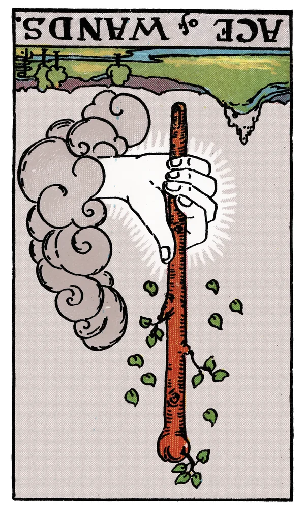 Carte de tarot As de Bâtons inversée